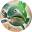 Big Bass Splash Slot | Play Online for Free and for Real Money | RTP: 96.71%