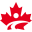 CFES Fitness Instructor | Personal Trainer Certification Online | Online Fitness Training | Personal Training For Seniors