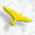 Fishing Charts - Captain Segull's Nautical Fishing Charts