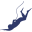 Best Online Fish Market—Sushi Grade Fish Delivered Overnight