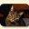 Feeding Your Cat: Know the Basics of Feline Nutrition – Common Sense. Healthy Cats.