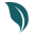 Online Therapy Massachusetts | Chaos to Calm Counseling