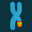 CML Support |