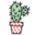 gnomedia codeworks
