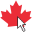 Home - Coming Soon - Websites.ca Web Design