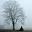 Bob Comlay - Photographs, Anecdotes and Travels with Tilman -