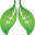 COPD-X Plan: Australia's Clinical Guidelines for COPD Management