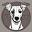 coreymore-whippets - Animal Conservation: Hope for the Future - coreymore-whippets.com