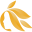 Cosmetic Skin
