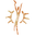 Aboriginal Art Gallery and Emporium | Online Sale – Creative Native Perth