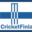 Finnish Cricket Association – The Home of Finnish cricket
