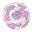 Camellia Society of the Potomac Valley – Camellias for the Nation’s Capital