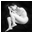 cynthia e. jones photography