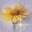 God’s Tiny Angels ~ Crafting handmade items to donate to hospitals caring for needy babies. Volunteers give clothing to help.