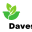 davesems.com - davesems