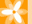 Daylilies Australia | Mountain View Daylily Nursery | Maleny