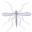 Diptera.info - News