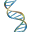 CSHL DNA Learning Center