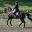 DA Dressage and Hunter Center – at Dream Acres Equestrian Center