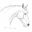 Equine Art by Jeanne Rewa – original horse art, paintings, drawings, prints, commissions