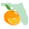 Florida Academy of Nutrition and Dietetics |