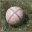 Eclipse Base Ball Club – Founded 1869
