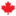 French and English summer camp in Canada