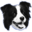 Elkana Border Collie's