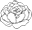 Organic Essential Oils, Hydrosol Distillers for Aromatherapy — Essential Aura Aromatics