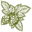 Essentially Hops | Dried Flowers, Kentish Hops & Florists