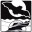 Essex Bat Group