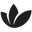 Eufora – Eufora International