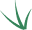 Evergreen Acupuncture – Ancient medicine for today's health