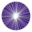 EyeWiki