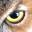 Fellow Mortals Wildlife Hospital – Ethical, compassionate and professional wildlife rehabilitation