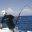 Fishing Zanzibar Co Ltd - Big Game Fishing Charters in Zanzibar.