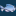 FishProfiles.com - Complete Online Aquarium Resource