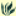 ISB: Atlas of Florida Plants
