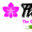 Flowerite – Online Florist