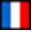 Fly in France