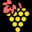 Food & Wine
