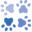Cat Adoption in Virginia, Maryland, and Washington DC
