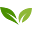 Garden And Me - Your companion for gardening