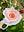 Garden Valley Ranch | Petaluma, Sonoma County, California