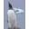 Comparative population and monitoring research on Gentoo penguins in Antarctica (INTAS 2001-0517)