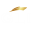 Luxury Boat & Yacht Sales Australia | GLI Yacht Brokers