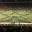 NDSU Bands