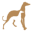 GPA – Louisville – Greyhound Adoption in Louisville KY