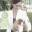 Grandville Cavaliers Companion – Dog-Approved Tips and Resources for Dog Lovers and Breeders