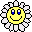 Sunny Corner Graphics